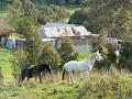 Adelaide Hills